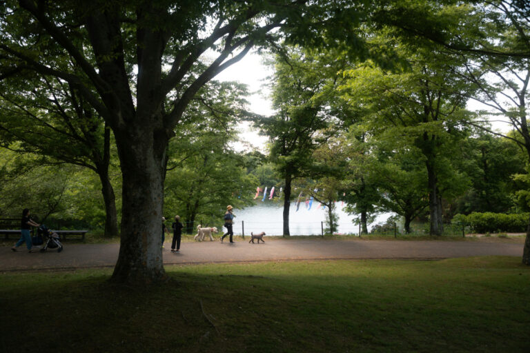 This life, is Merdeka too. Photo by Gaku Suyama - Unsplash