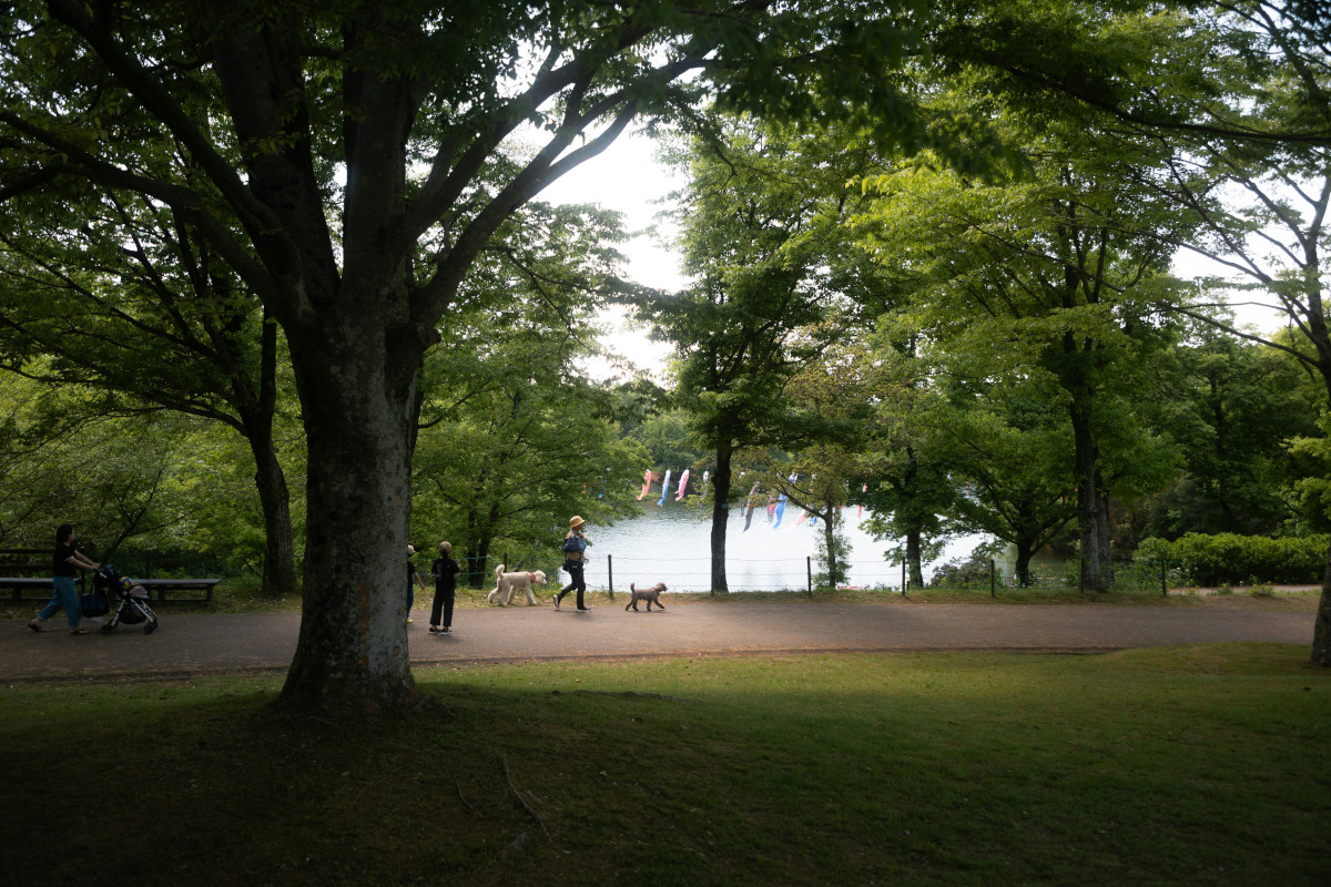 This life, is Merdeka too. Photo by Gaku Suyama - Unsplash