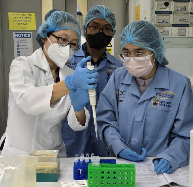 UM researchers in action