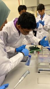 School students taking part at the programs (5)