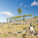 Photo by Iuliu Illes - Unsplash