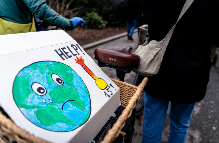 Photo by Mika Baumeister - Unsplash