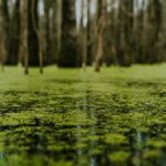 jordan-whitfield-WcaFG7XvYbU-unsplash