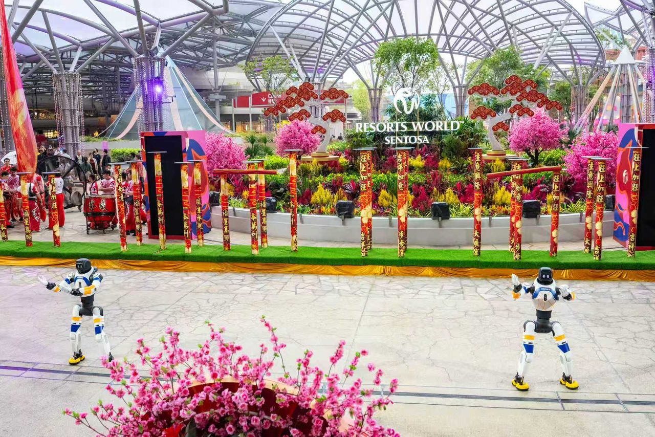 IMAGE 2  Sentosa Feb 17